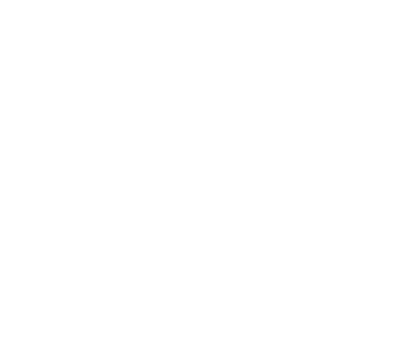 aurea seccion rubi